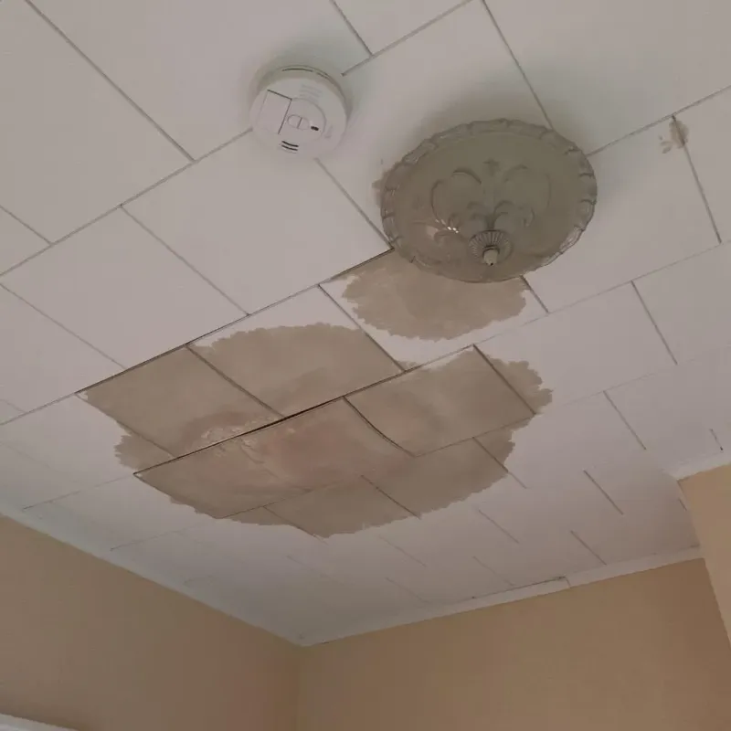 Ceiling Water Damage Repair in Langhorne, PA