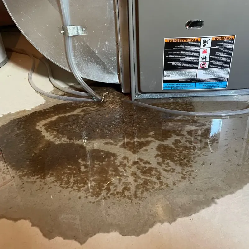 Pipe Burst and Leak Restoration in Langhorne, PA